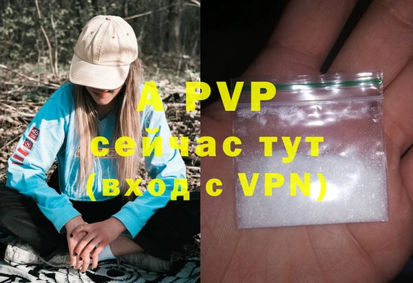 PSILOCYBIN Пересвет