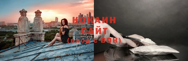 дмт Переславль-Залесский