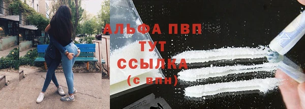 дмт Переславль-Залесский
