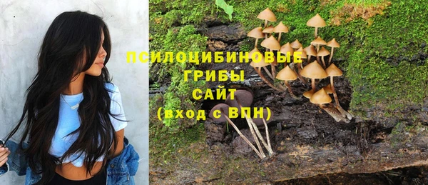 дмт Переславль-Залесский
