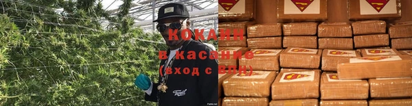 дмт Переславль-Залесский