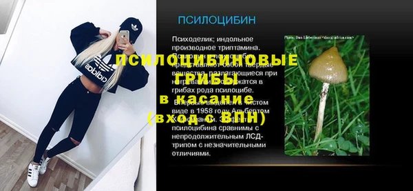 дмт Переславль-Залесский