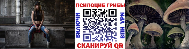 купить наркотик  Тосно  маркетплейс Telegram  Галлюциногенные грибы Psilocybine cubensis 