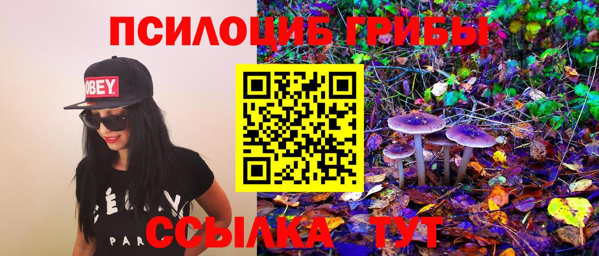 Галлюциногенные грибы мухоморы  Вход с VPN  что такое   Тосно  Галлюциногенные грибы прущие грибы 