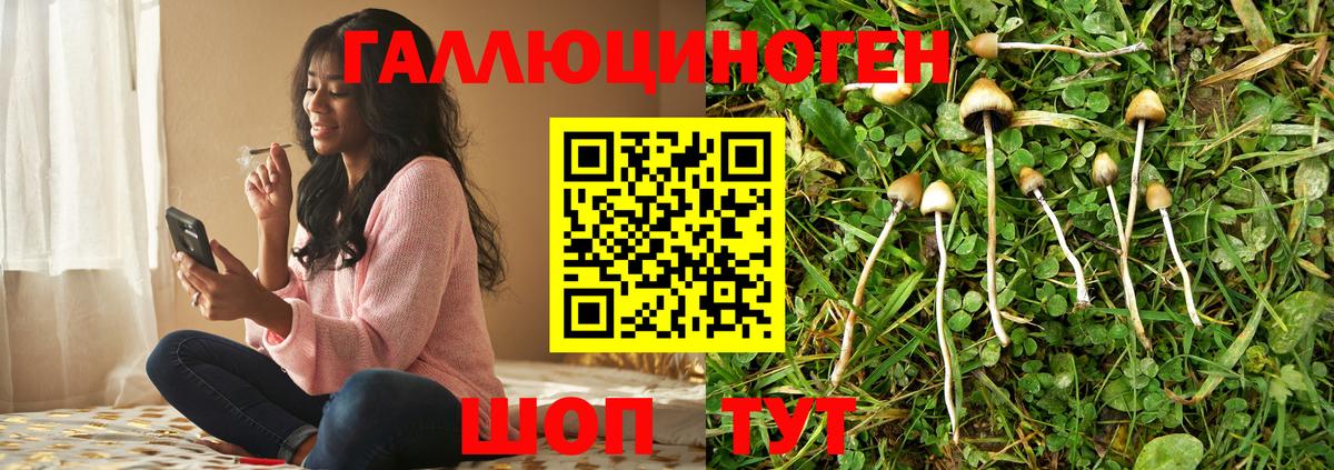 Псилоцибиновые грибы GOLDEN TEACHER  Тосно  Галлюциногенные грибы мухоморы 