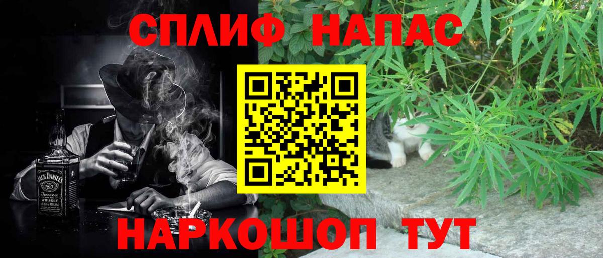 Каннабис MAZAR Тосно